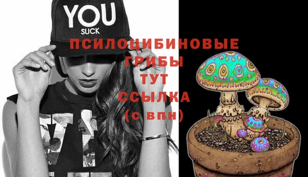 шишки Касимов