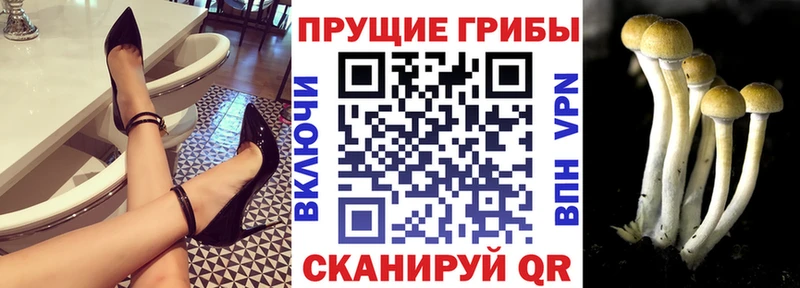 Купить где  Спасск  Галлюциногенные грибы мухоморы 
